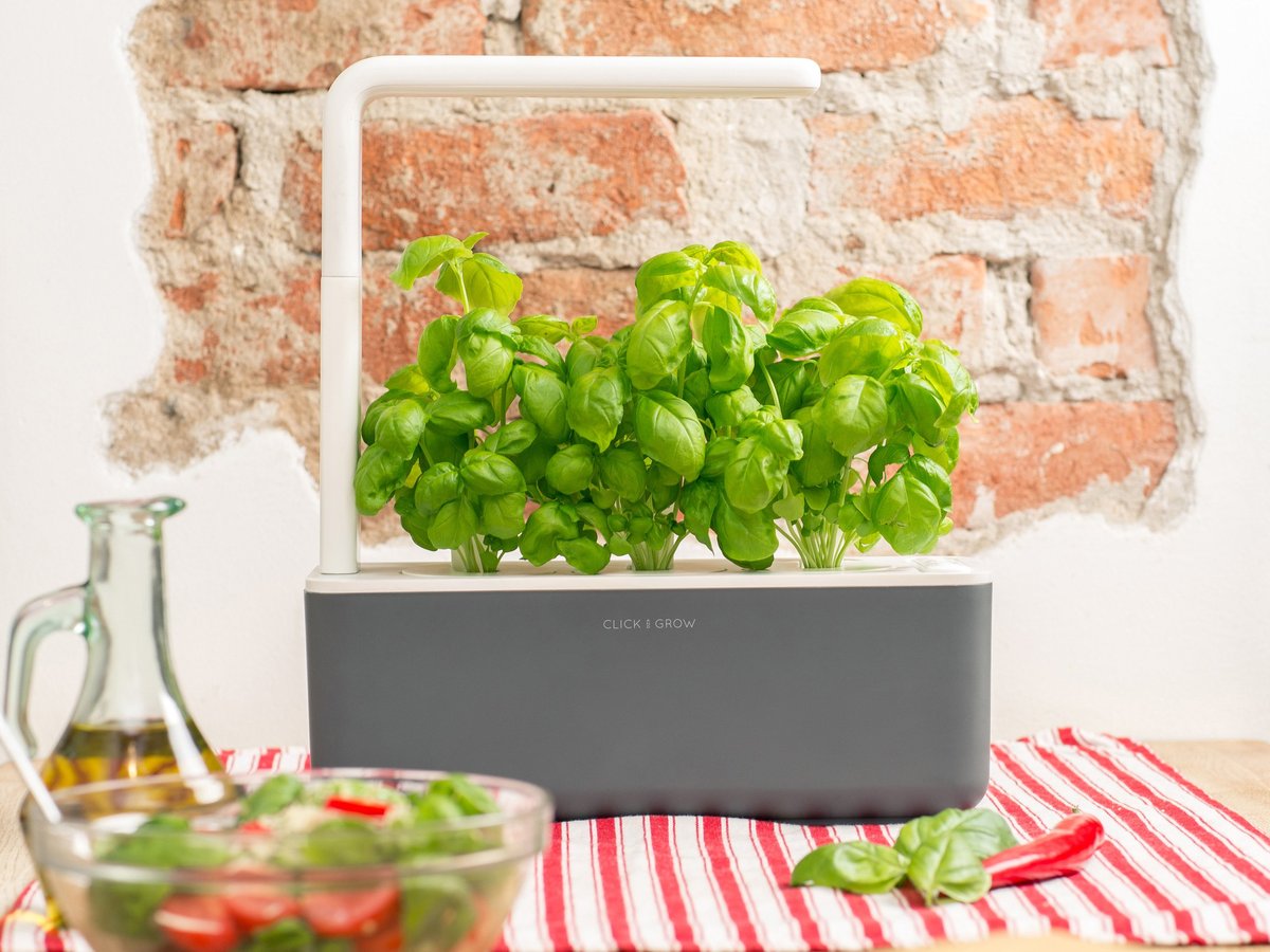 Click and Grow Smart Garden 3 Review KidsTechTime